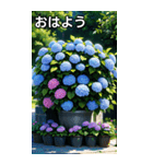 紫陽花コレクション（個別スタンプ：6）