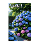 紫陽花コレクション（個別スタンプ：8）