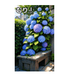 紫陽花コレクション（個別スタンプ：10）