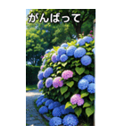 紫陽花コレクション（個別スタンプ：11）