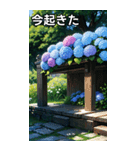 紫陽花コレクション（個別スタンプ：13）
