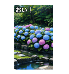 紫陽花コレクション（個別スタンプ：19）