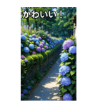 紫陽花コレクション（個別スタンプ：20）