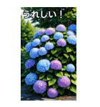 紫陽花コレクション（個別スタンプ：24）