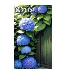 紫陽花コレクション（個別スタンプ：31）