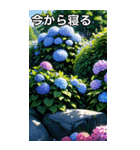 紫陽花コレクション（個別スタンプ：34）