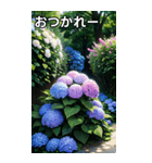 紫陽花コレクション（個別スタンプ：35）