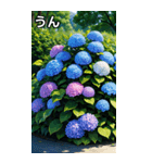 紫陽花コレクション（個別スタンプ：38）