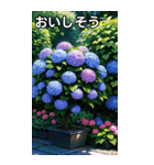 紫陽花コレクション（個別スタンプ：40）