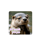 日常で使って！動くカワウソ（個別スタンプ：1）