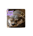 日常で使って！動くカワウソ（個別スタンプ：3）