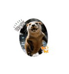 日常で使って！動くカワウソ（個別スタンプ：5）
