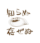 狸のたぬきによるタヌキのためのスタンプ2（個別スタンプ：7）