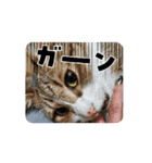 ふみかのゆきちゃん（個別スタンプ：2）