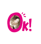 ふみかのゆきちゃん（個別スタンプ：4）