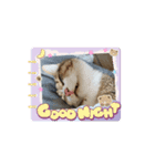 ふみかのゆきちゃん（個別スタンプ：10）