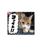 ふみかのゆきちゃん（個別スタンプ：15）