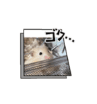 へちゃむくれなハムちゃん【動く】（個別スタンプ：2）