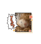 へちゃむくれなハムちゃん【動く】（個別スタンプ：5）
