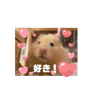 へちゃむくれなハムちゃん【動く】（個別スタンプ：6）