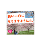 BiBi会（個別スタンプ：12）