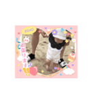 のあスタンプ9.13（個別スタンプ：6）