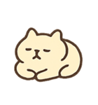 チルキャットDodo 究極のまったり王（個別スタンプ：14）