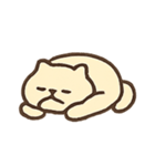 チルキャットDodo 究極のまったり王（個別スタンプ：15）