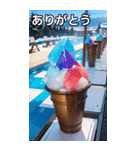 かき氷コレクション（個別スタンプ：3）