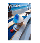 かき氷コレクション（個別スタンプ：14）