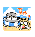 ゆるっとマヌルちゃん20 夏（個別スタンプ：13）