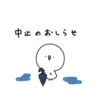 ピヨコロ なつやすみ（個別スタンプ：4）