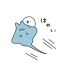 ピヨコロ なつやすみ（個別スタンプ：9）