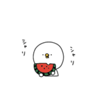 ピヨコロ なつやすみ（個別スタンプ：15）