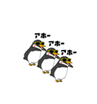 闇ペンギン【使用難易度★☆☆】夏（個別スタンプ：12）