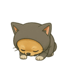 チワワちゃんの日常《着ぐるみ2》（個別スタンプ：35）