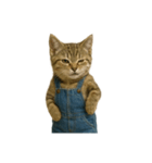 [アレンジ用]表情豊かな猫は2足歩行（個別スタンプ：1）