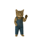 [アレンジ用]表情豊かな猫は2足歩行（個別スタンプ：6）