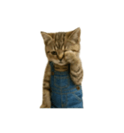 [アレンジ用]表情豊かな猫は2足歩行（個別スタンプ：9）