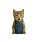 [アレンジ用]表情豊かな猫は2足歩行（個別スタンプ：10）