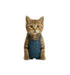 [アレンジ用]表情豊かな猫は2足歩行（個別スタンプ：11）
