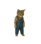 [アレンジ用]表情豊かな猫は2足歩行（個別スタンプ：13）
