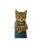 [アレンジ用]表情豊かな猫は2足歩行（個別スタンプ：14）