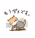 犬の会社員コギ村さん（個別スタンプ：15）