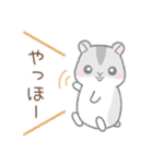 毎日使える☆ハムスター（個別スタンプ：1）