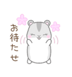 毎日使える☆ハムスター（個別スタンプ：17）