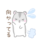毎日使える☆ハムスター（個別スタンプ：19）