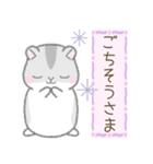 毎日使える☆ハムスター（個別スタンプ：24）