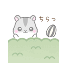 毎日使える☆ハムスター（個別スタンプ：32）
