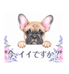 水彩感じるフレンチ・ブルドッグスタンプ（個別スタンプ：5）